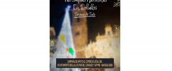 PRESENTAN EL CARTEL DE LA CAMPAÑA DE NAVIDAD 2024