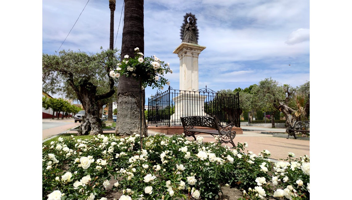 FLORECEN LOS 1.200 ROSALES PLANTADOS ESTE OTOÑO