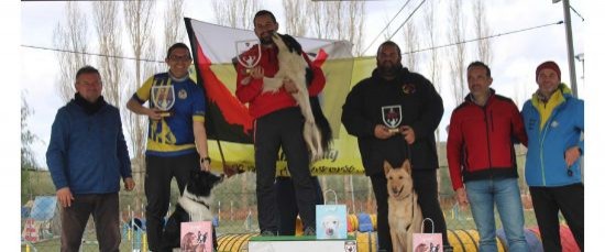 EL CLUB AGILITY 3 ADN BOLLULLOS, SE HACE CON SUBCAMPEONATO ANDALUZ