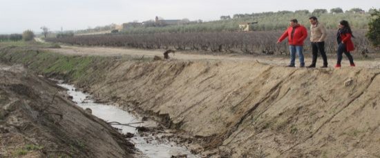 EL AYUNTAMIENTO LIMPIA MAS DE 7 KILÓMETROS DE ARROYO DEL TÉRMINO MUNICIPAL DE BOLLULLOS