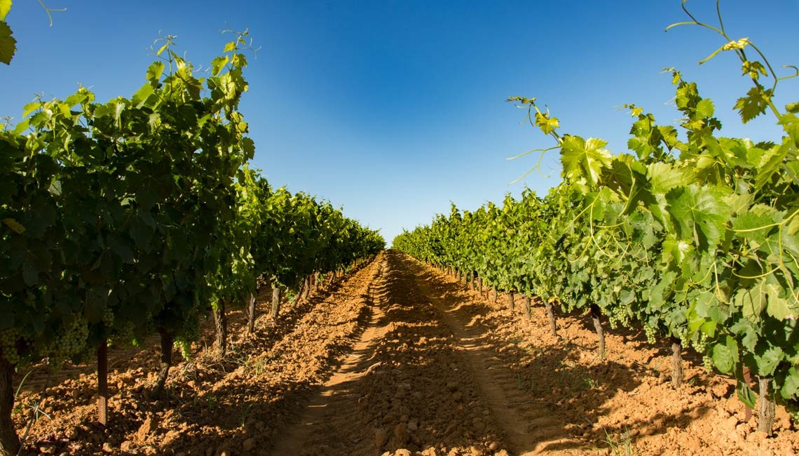 NUEVA ORDENANZA ENTRA EN VIGOR LA ORDENANZA REGULADORA DEL BANCO DE TIERRAS AGRÍCOLAS