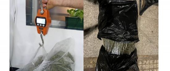 INCAUTACIÓN DE MARIHUANA POR PARTE DE LA POLICÍA LOCAL