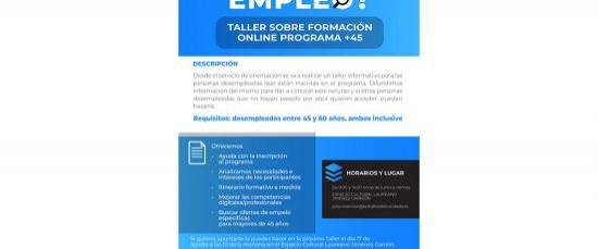 TALLER SOBRE FORMACIÓN ON LINE PROGRAMA +45