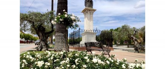 FLORECEN LOS 1.200 ROSALES PLANTADOS ESTE OTOÑO