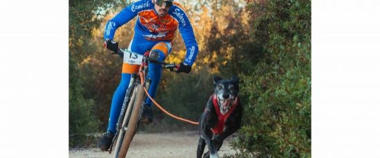 DAVID JIMÉNEZ Y MURDOCK SUBCAMPEONES DE ANDALUCÍA EN BIKEJORING