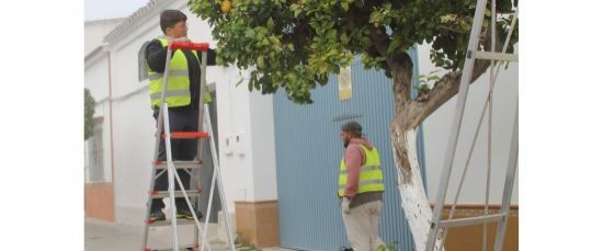 PODA DE NARANJOS Y LIMONEROS