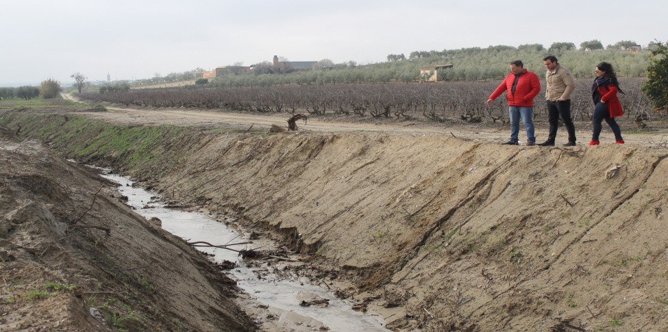 EL AYUNTAMIENTO LIMPIA MAS DE 7 KILÓMETROS DE ARROYO DEL TÉRMINO MUNICIPAL DE BOLLULLOS