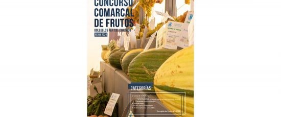 LXXII CONCURSO COMARCAL DE FRUTOS FERIA 2022