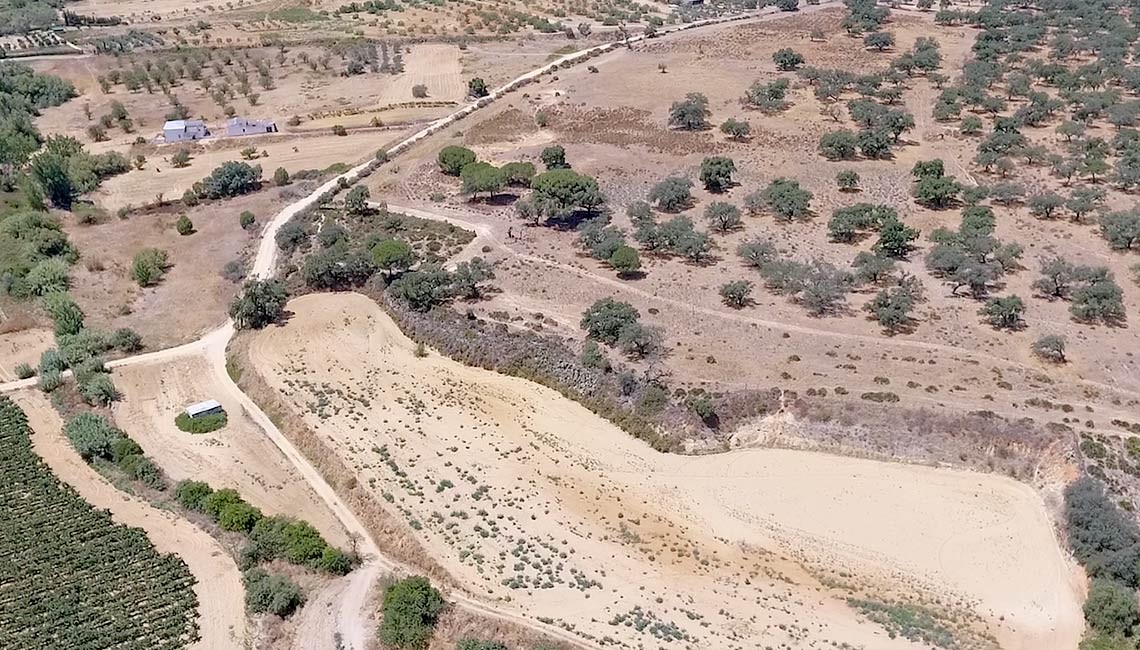 ENTRA EN VIGOR LA ORDENANZA REGULADORA DE PARCELAS RÚSTICAS ABANDONAS