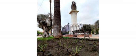 RENOVACIÓN DE LA ROSALEDA CON 900 NUEVAS PLANTAS