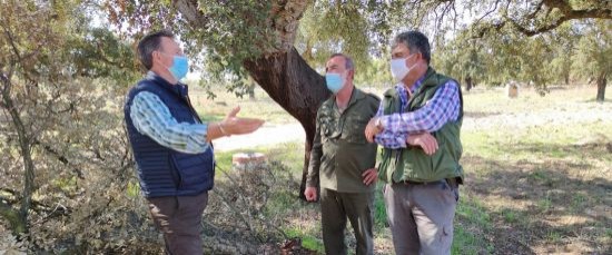 UN PASO ADELANTE EN LA LUCHA CONTRA “LA SECA” EN EL PARQUE NATURAL DE SAN SEBASTIÁN