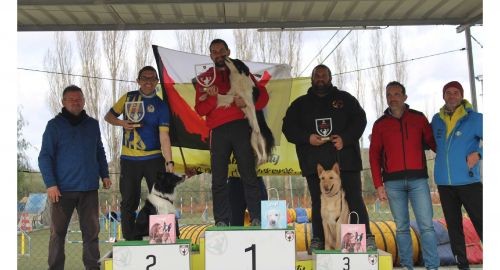 EL CLUB AGILITY 3 ADN BOLLULLOS, SE HACE CON SUBCAMPEONATO ANDALUZ