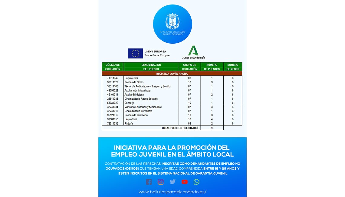 INICIATIVA PARA LA PROMOCIÓN DEL EMPLEO JUVENIL EN EL ÁMBITO LOCAL (JOVEN AHORA)